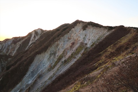 IMG_7312 (2)