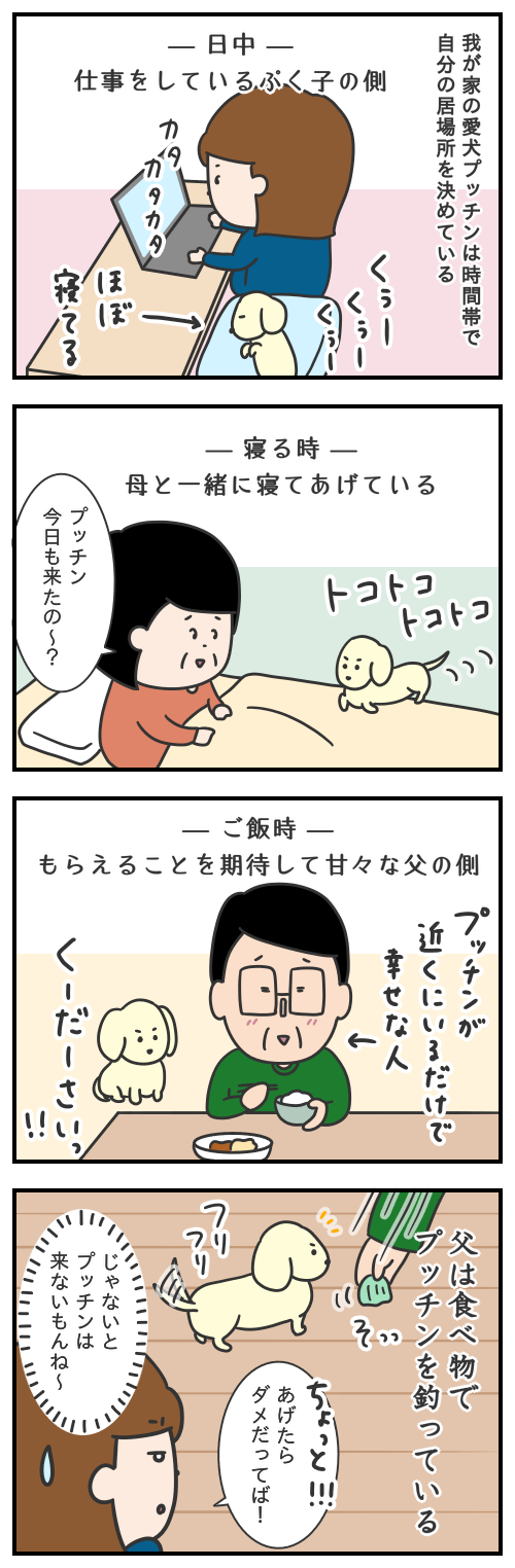 790.プッチンの居場所/プッチンの日常