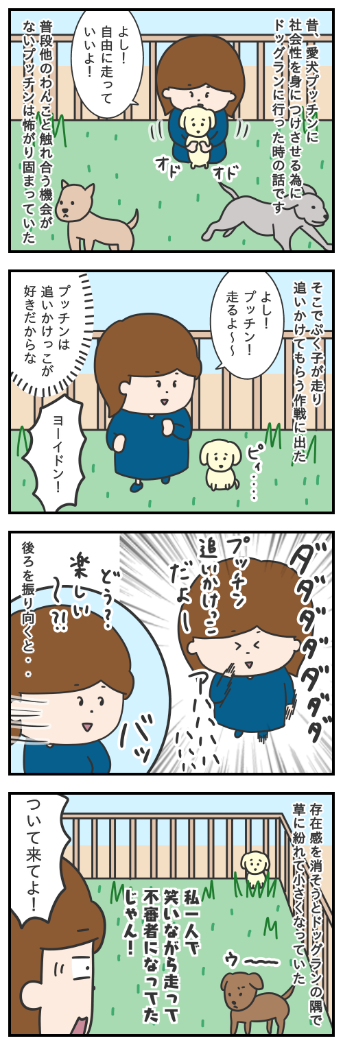 愛犬プッチンを初めてドッグランに連れていった話