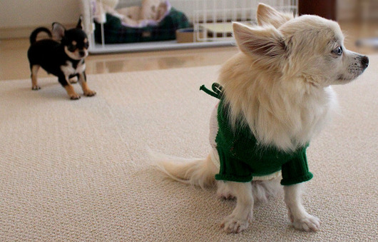 s-19090294 - コピー