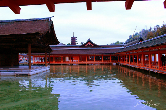 s-19021196 copy