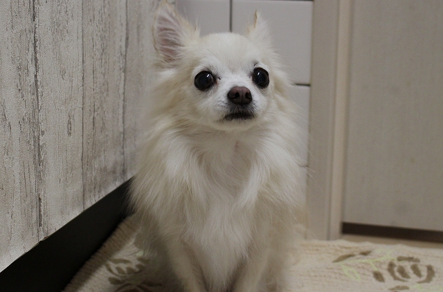 s-1902115 - Copy