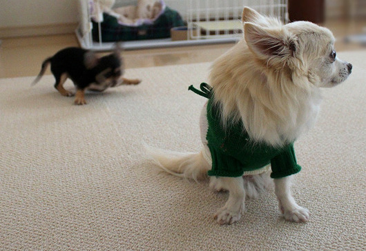 s-19090296 - コピー