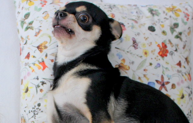 s-1908276 - コピー