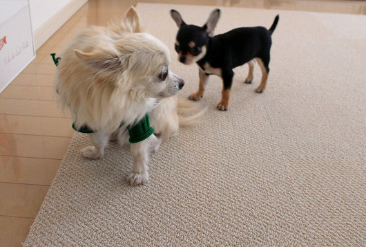 s-19090297 - コピー