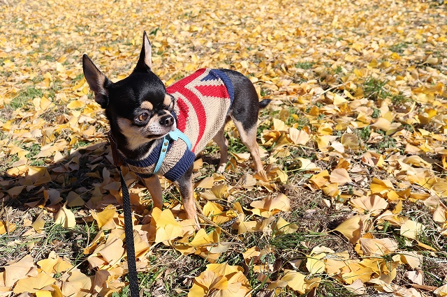 s-2012172 - コピー