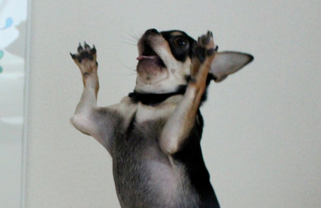 s-1908161 - コピー