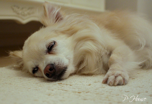 s-1607145 - Copy copy