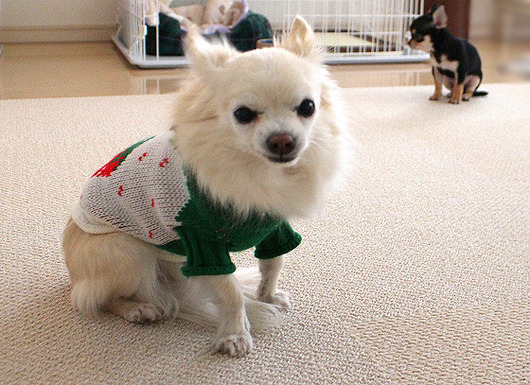 s-19090291 - コピー