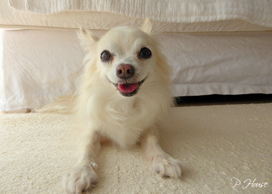 s-1612031 - Copy copy