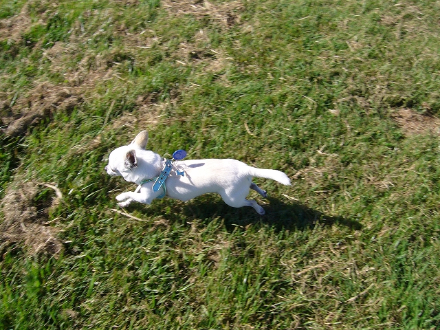 20042994