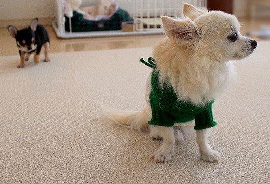 s-19090293 - コピー