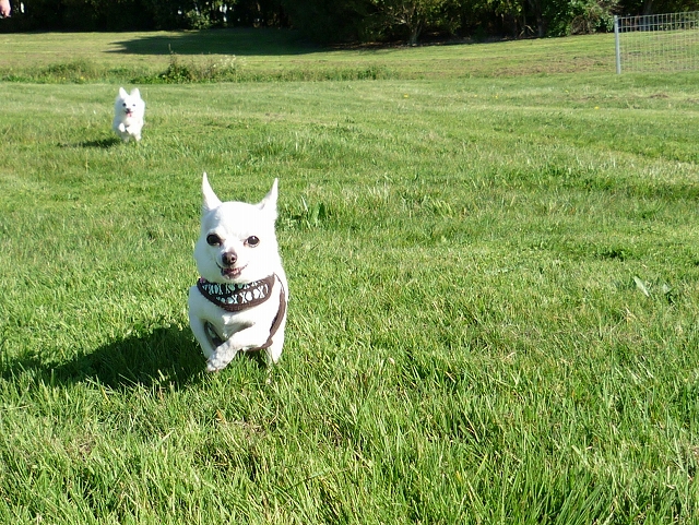 お外のソニック P House Powered By ライブドアブログ