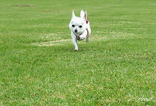 s-1311064 - Copy copy