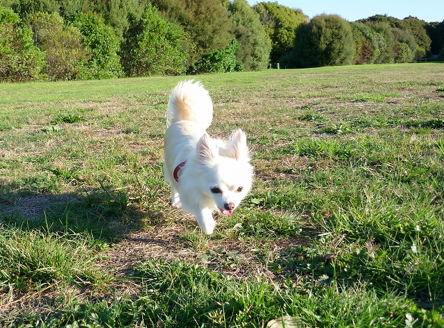 お外のソニック P House Powered By ライブドアブログ