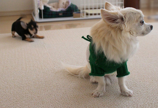 s-19090295 - コピー