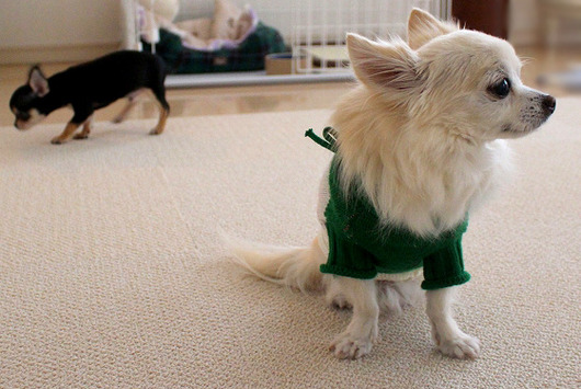 s-19090292 - コピー