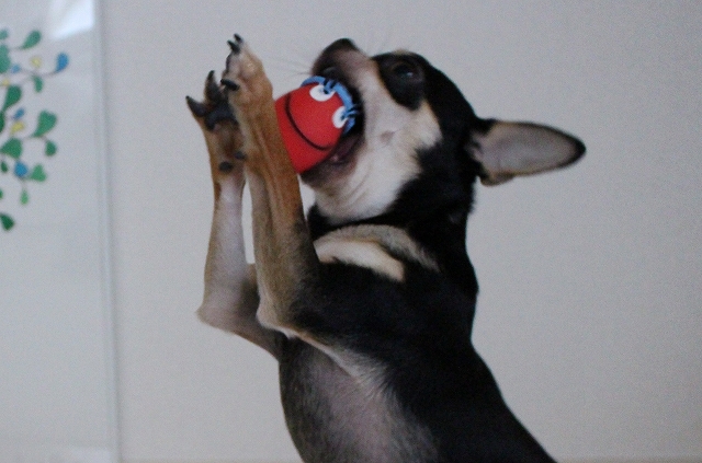 s-1908162 - コピー