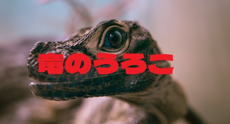 【アクセ速報】竜のうろこは完成しているか???? : ドラクエ10盲目信者の秘密基地
