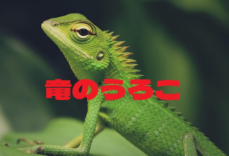【またも今更】竜のうろこ攻撃力+15を作る!!! : ドラクエ10盲目信者の秘密基地