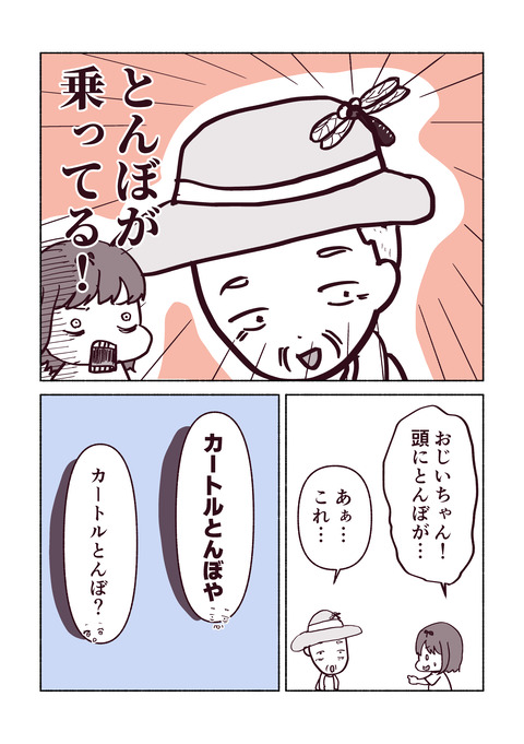 おじいちゃんの頭に_009