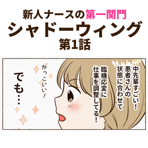 シャドーウィング1_011