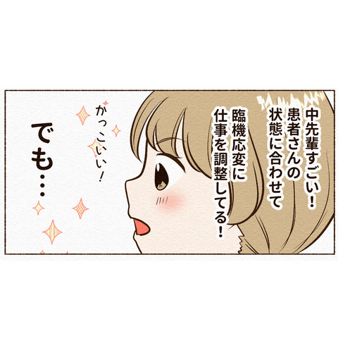 シャドーウィング1_015