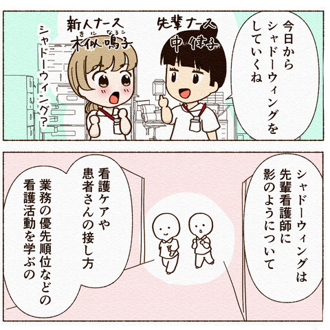 シャドーウィング1_012