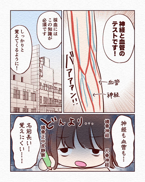 看護学生が初めて採血した話_出力2_008