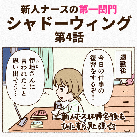 シャドーウィングインスタ4_041