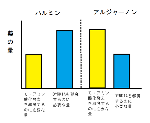 アルジャーノン追加情報 働く主婦の独り言
