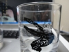 DSC00019