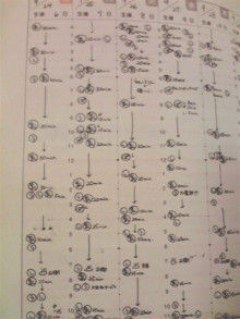 ぷにんぷ妊婦  *ブログで描く我が子の毎日*-2009060221140000.jpg