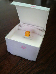 ぷにんぷ妊婦  *ブログで描く我が子の毎日*-P1010170.jpg