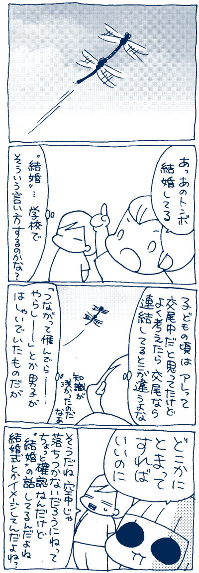 1508181