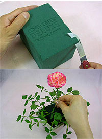 ぷにんぷ妊婦  *ブログで描く我が子の毎日*-サイト『花の資材屋さん』より