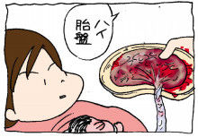 ぷにんぷ妊婦 *ブログで描く我が子の毎日*-1