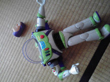 ぷにんぷ妊婦  *ブログで描く我が子の毎日*-2009101915020000.jpg