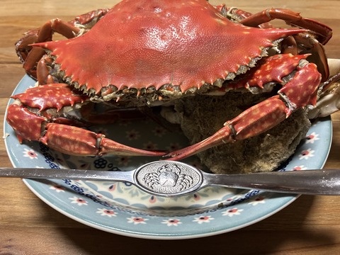 IMG_7342