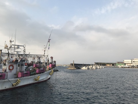 0F8F0F8D-6DA4-4871-B952-7DBFD7C7D608