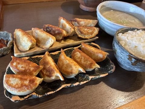 ★スタミナとワンワンをチャージしに訪れた“函館刀削麺・翼餃子”DE…ギョの字を無防備にガブリチュウしたら肉汁ブシャーで持ってかれたチャンピオンのリバースウィーブ★