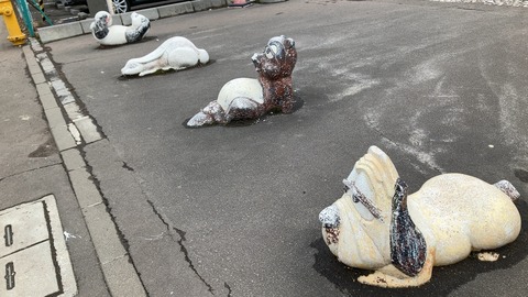 DBA407E2-CE33-4F45-94CD-F1B29C41156B