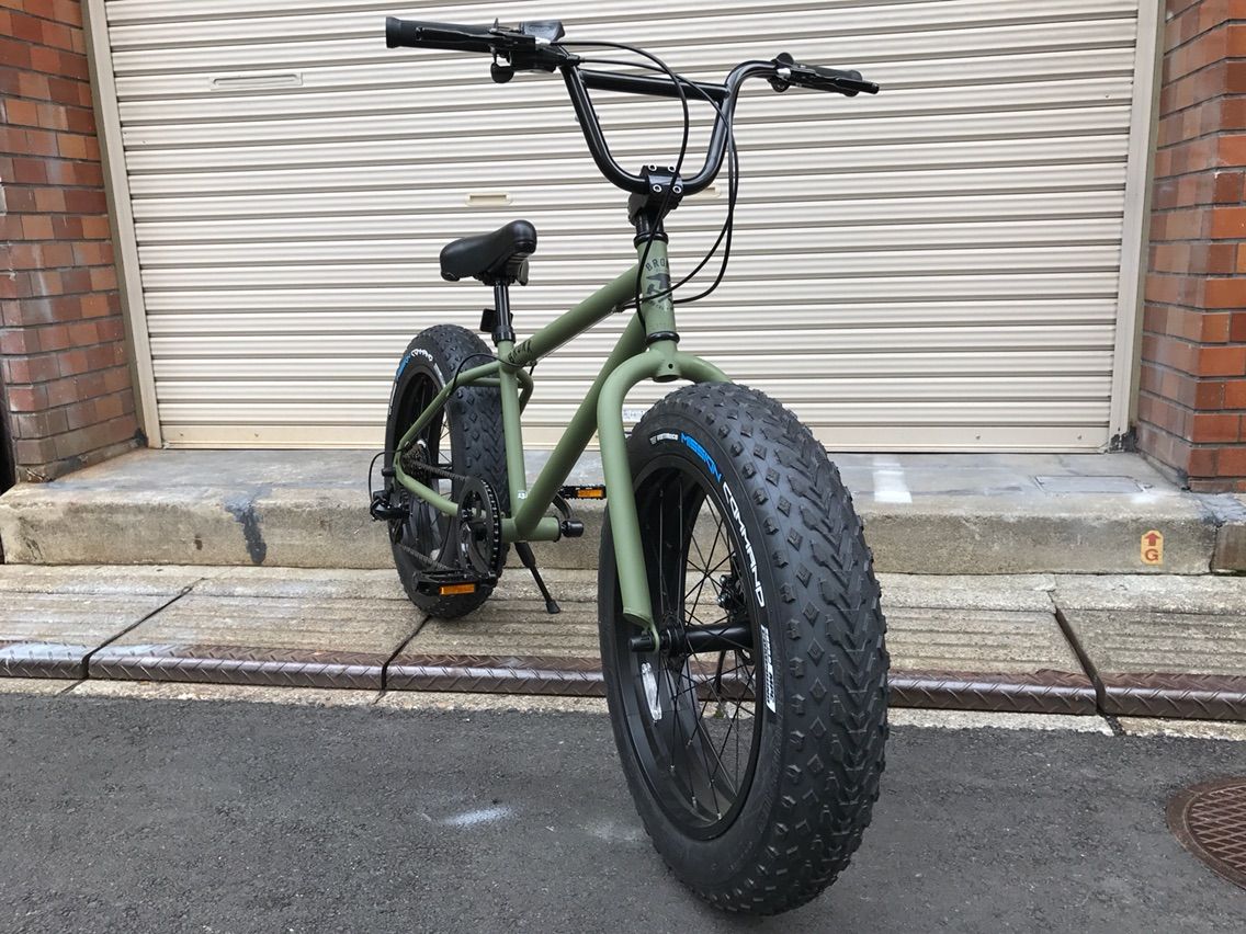 20bronx-dd-agrnorg19.jpg