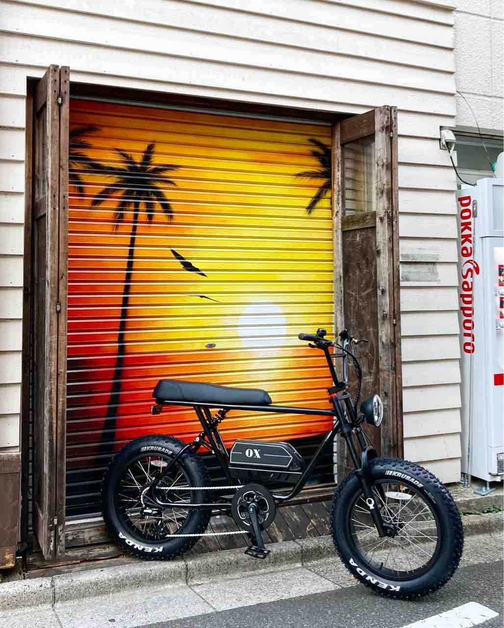 今話題のOX BIKEの試乗車が届きました。 : SLOW CYCLE Blog