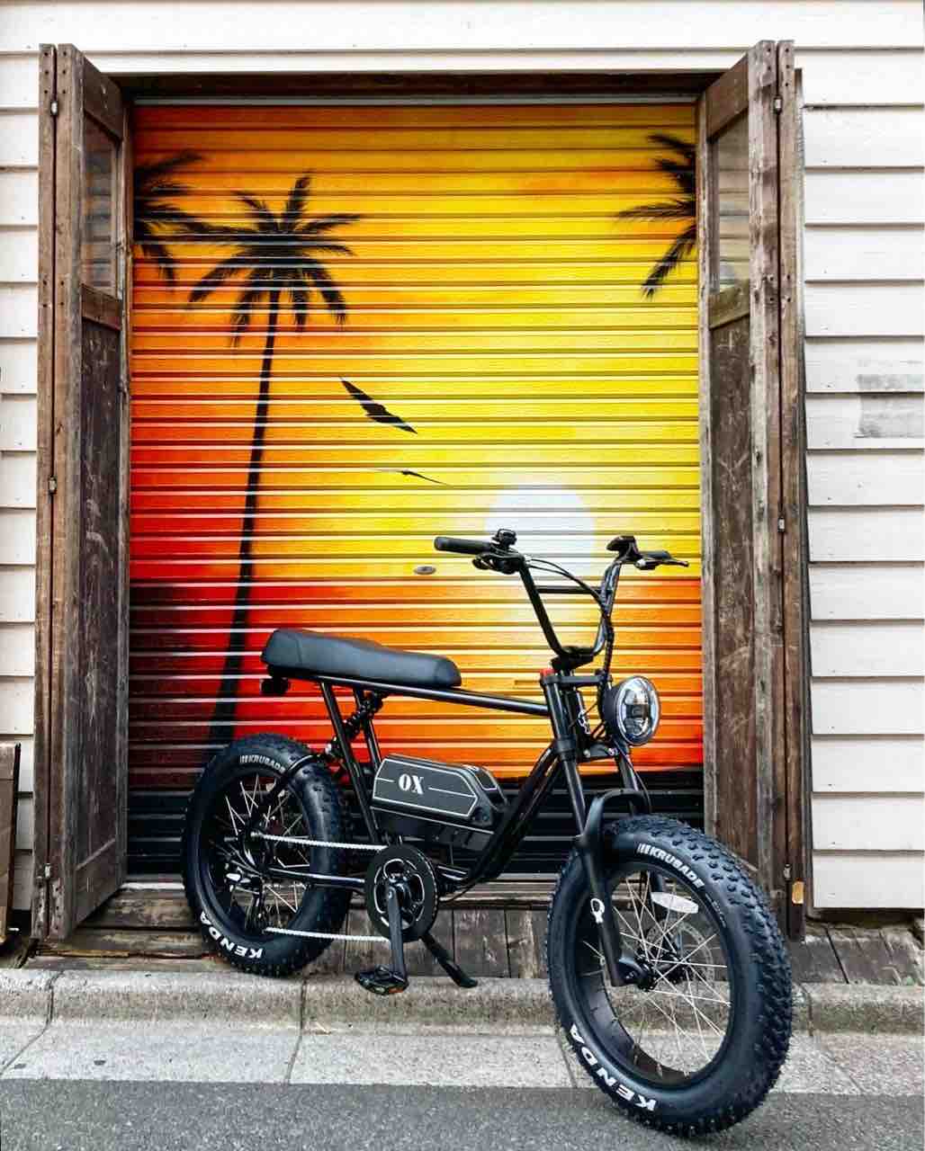 OX-Bike フル電動バージョン発売します。 : SLOW CYCLE Blog