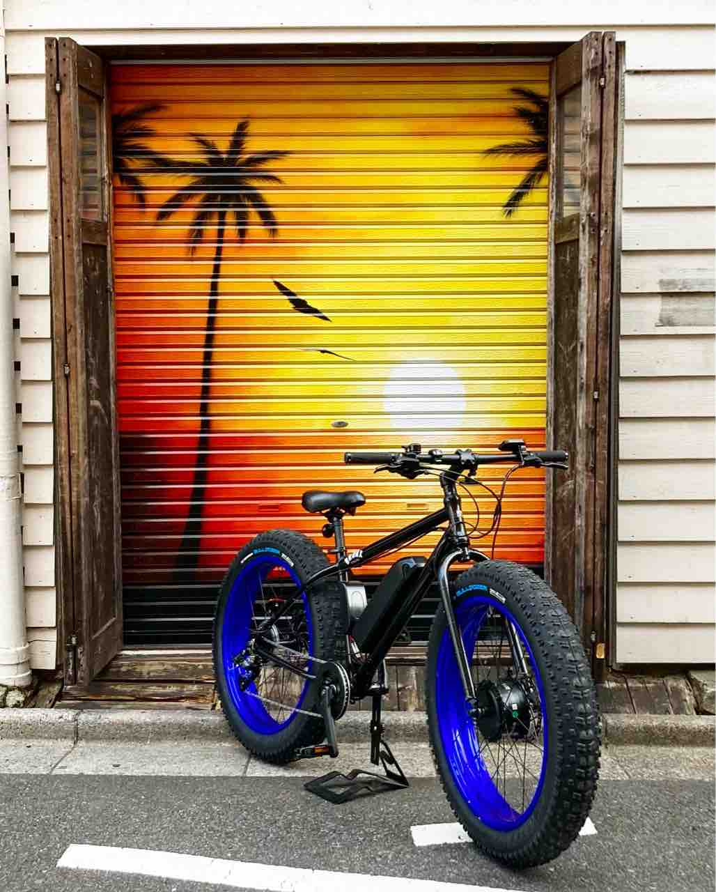 BRONX TRX-EVO e-Bikeの試乗車を用意しました。 : SLOW CYCLE Blog