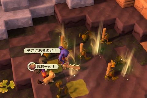 トマトのタネが光る