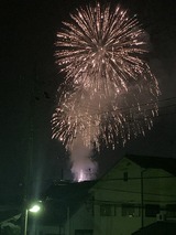 写真 2020-07-24 20 02 22