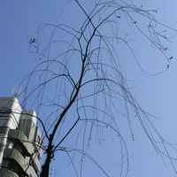 24cb4926.JPG