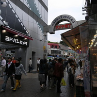294c0881.JPG